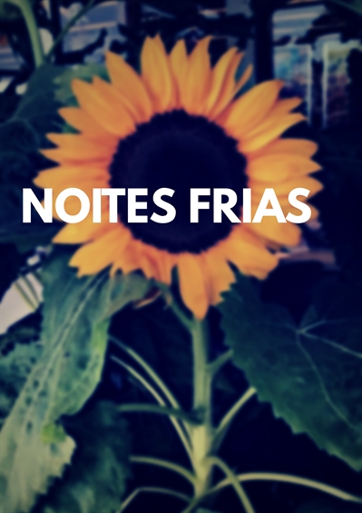 Fanfic / Fanfiction Noites Frias