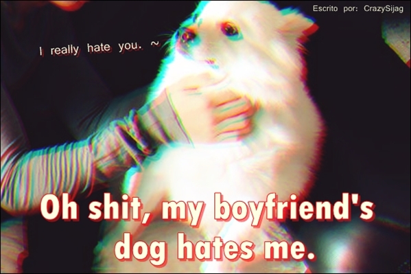 Fanfic / Fanfiction Oh shit, my boyfriend's dog hates me (Imagine Namjoon)