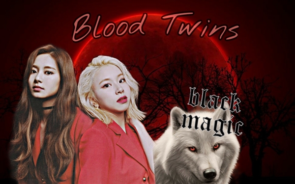 Fanfic / Fanfiction Blood Twins--Imagine Kpop
