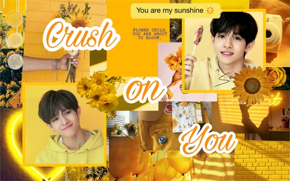 Fanfic / Fanfiction Crush on you-Kim Samuel