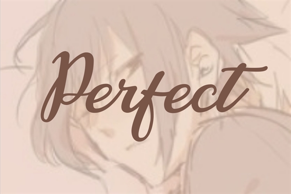 Fanfic / Fanfiction Perfect (NaruSasu) (HIATUS)