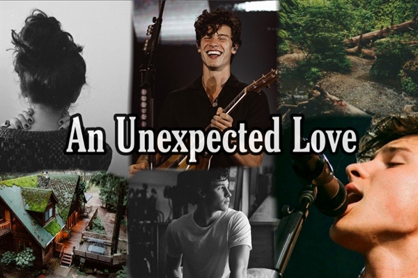Fanfic / Fanfiction An Unexpected Love - Shawn Mendes (Em pausa)