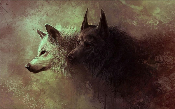 História O ANBU sombrio - História escrita por lobo_cacador - Spirit  Fanfics e Histórias
