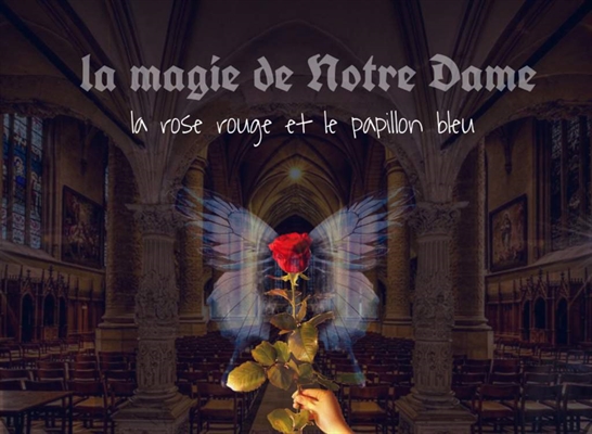 Fanfic / Fanfiction La magie de Notre Dame