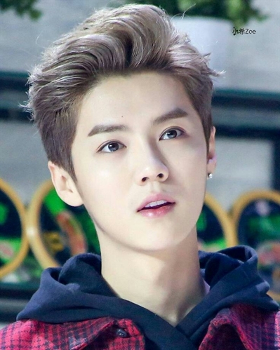 Fanfic / Fanfiction Curtindo a vida - imagine Luhan