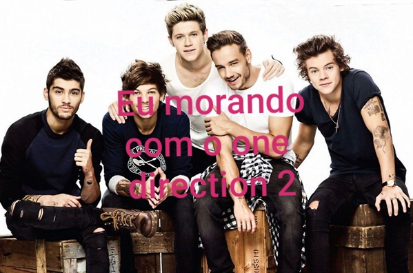 Fanfic / Fanfiction Eu morando com o one direction 2