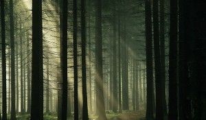 Fanfic / Fanfiction Yokai - Radioactive