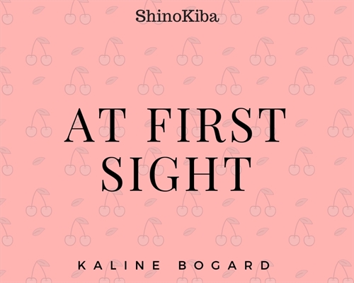 Fanfic / Fanfiction At first sight - ShinoKiba