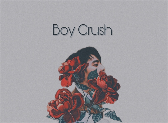 Fanfic / Fanfiction Boy Crush