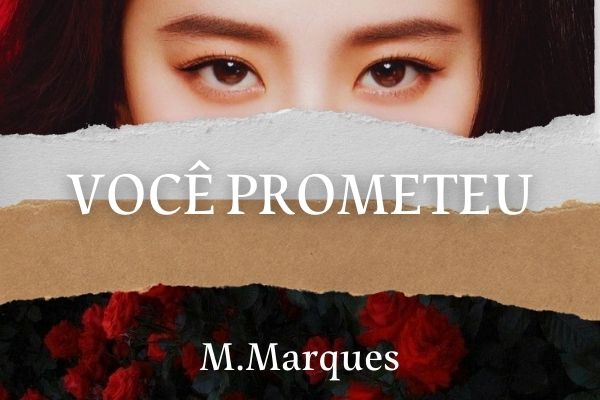 Fanfic / Fanfiction Você prometeu BTS-Min Yoongi-ABO