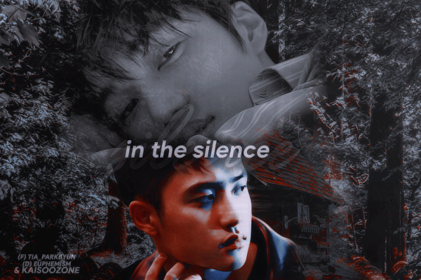 Fanfic / Fanfiction In the silence