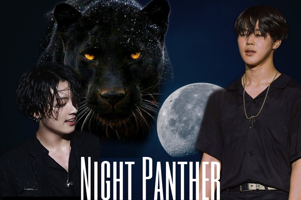 Fanfic / Fanfiction Night Panther