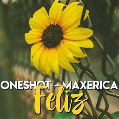 Fanfic / Fanfiction Feliz - Maxerica OneShot