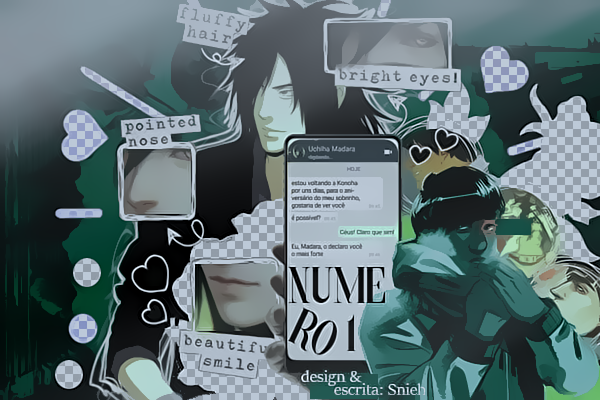 Fanfic / Fanfiction Número um