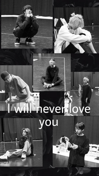 Fanfic / Fanfiction I Will Never Love You - Imagine BTS