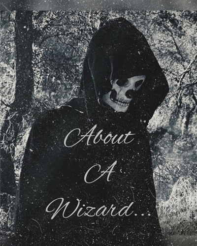 Fanfic / Fanfiction About A Wizard...