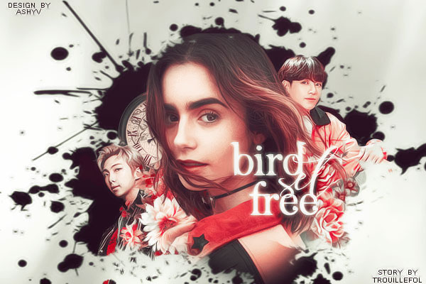 Fanfic / Fanfiction Bird Set Free - Imagine Jungkook