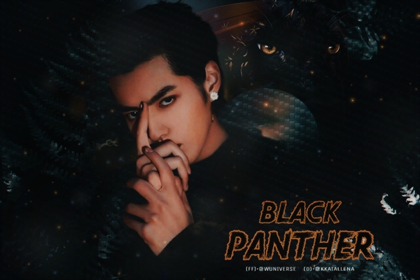 Fanfic / Fanfiction Black Panter