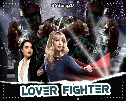 Fanfic / Fanfiction Lover Fighter
