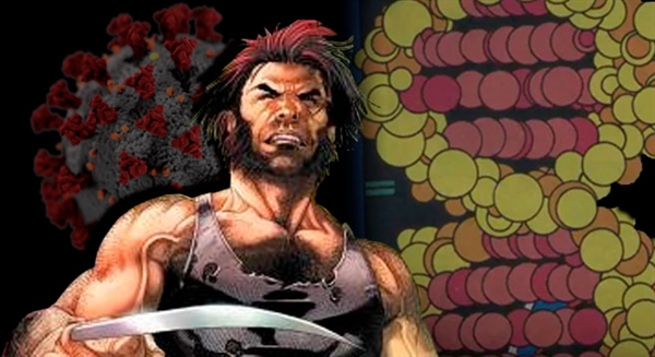 Fanfic / Fanfiction Wolverine encara o Covid-19