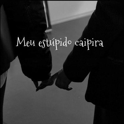 Fanfic / Fanfiction Meu estúpido caipira - HIATUS