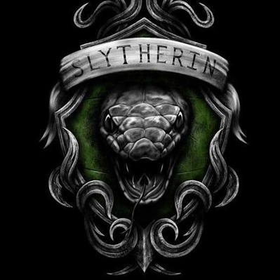 Fanfic / Fanfiction The Slytherin
