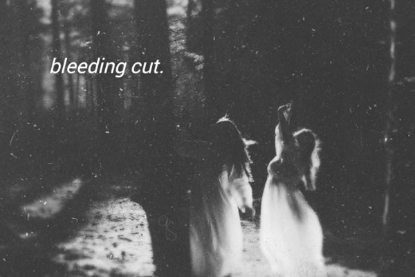Fanfic / Fanfiction Bleeding cut