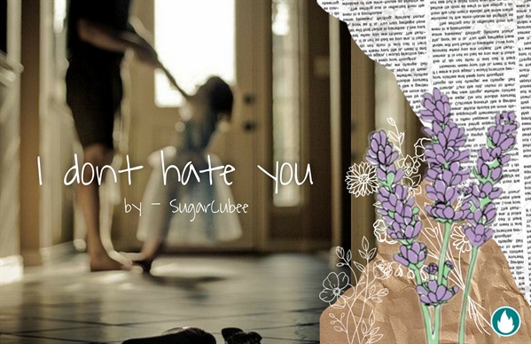 Fanfic / Fanfiction I don't hate you