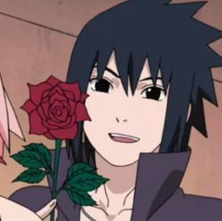 Livro 2: Uchiha (Nome) (Sasuke x Leitor)