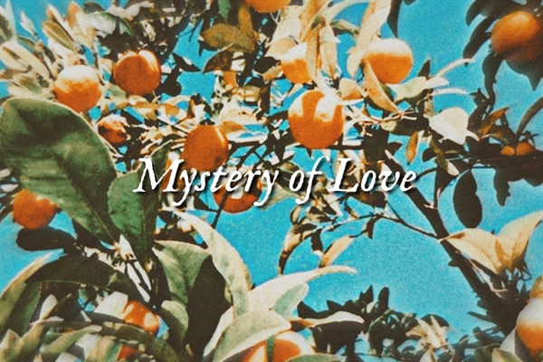 Fanfic / Fanfiction Mystery of Love. (Camren)
