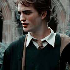 Fanfic / Fanfiction Meu amor- Cedrico Diggory