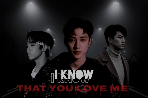 Fanfic / Fanfiction I Know That You Love Me (Imagine - Bang Chan)