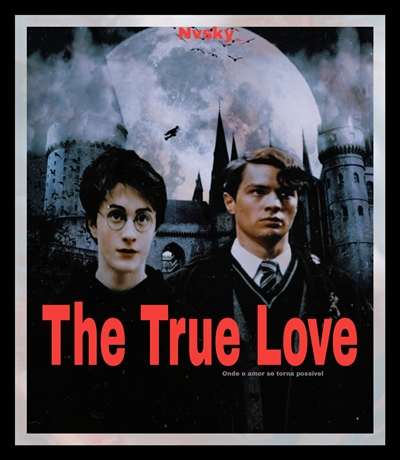 Fanfic / Fanfiction The True Love - Tomarry
