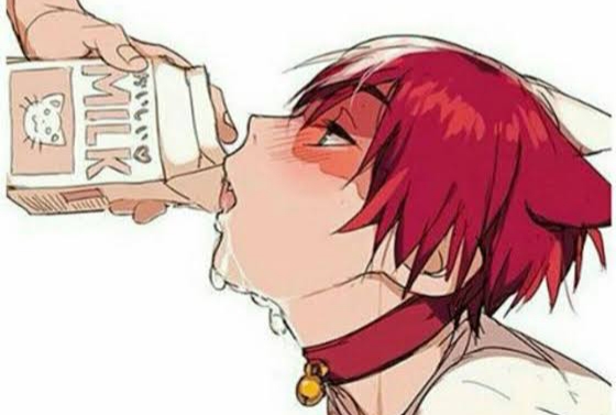 Fanfic / Fanfiction Milk (tododeku)