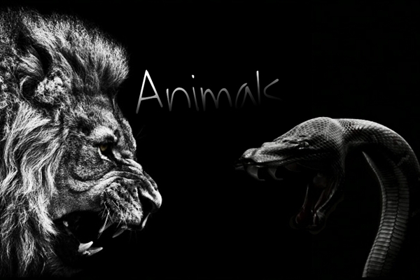 Fanfic / Fanfiction Animals