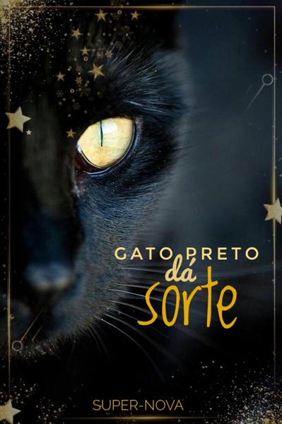 Zé, o Gato preto da sorte by Tabuleiro Produções - Issuu