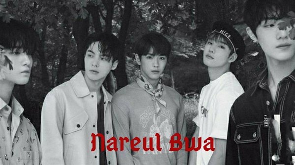 Fanfic / Fanfiction Nareul Bwa - Olhe para mim