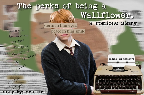 Fanfic / Fanfiction The perks of being a wallflower - romione