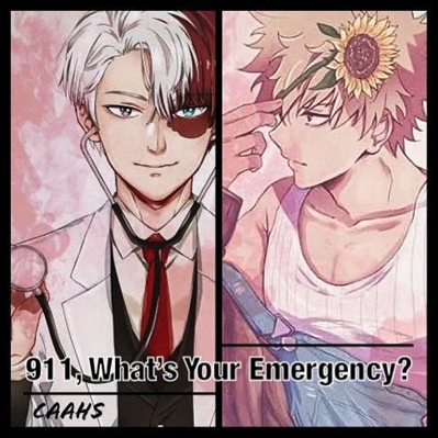 Fanfic / Fanfiction 911, What's Your Emergency?