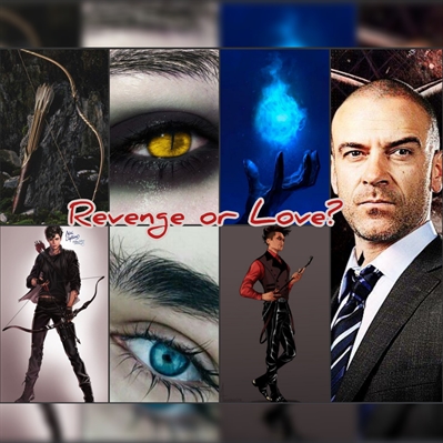 Fanfic / Fanfiction Revenge or Love? - Malec