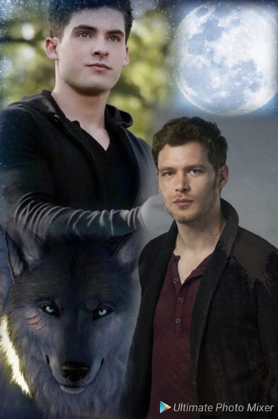 Um Amor Em Beacon Hills (The Originals × Teen Wolf) - Capítulo 4