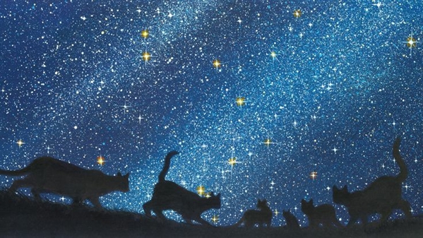 Fanfic / Fanfiction Gatos Guerreiros:O Destino Das Estrelas