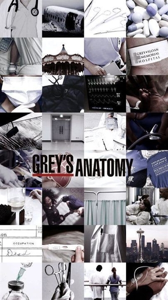 Fanfic / Fanfiction Imagines Grey's Anatomy - Fanboy