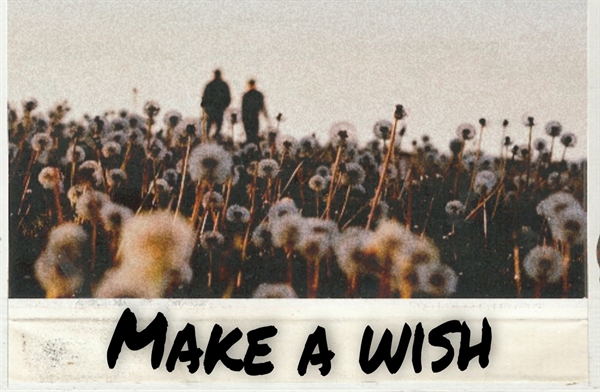 Fanfic / Fanfiction Make a Wish - (aokaga story)