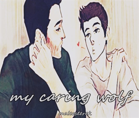 Fanfic / Fanfiction My caring wolf - Sterek