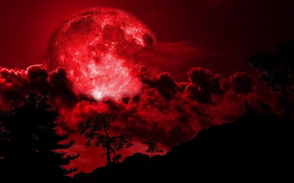 Fanfic / Fanfiction Yokai - Lua de Sangue
