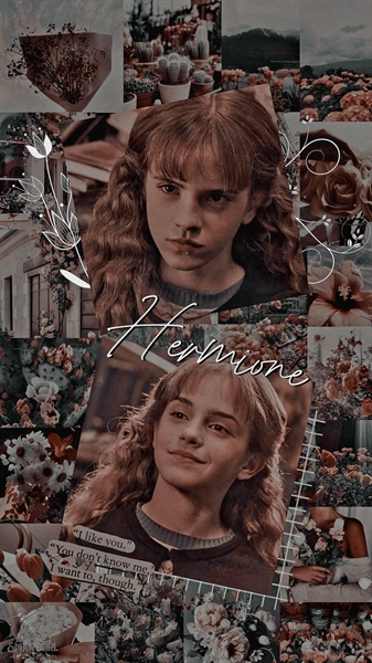 Fanfic / Fanfiction A Gêmea da Hermione