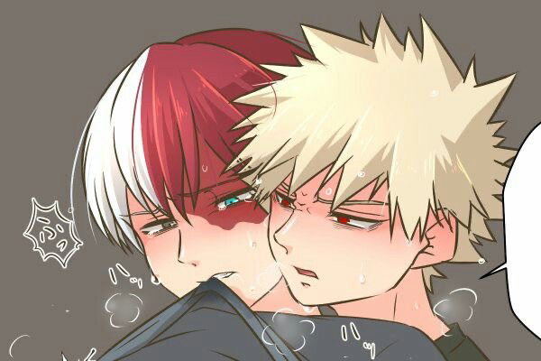 Fanfic / Fanfiction Hush (Todobaku)