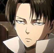 Fanfic / Fanfiction Fanfic namorando Levi Ackerman