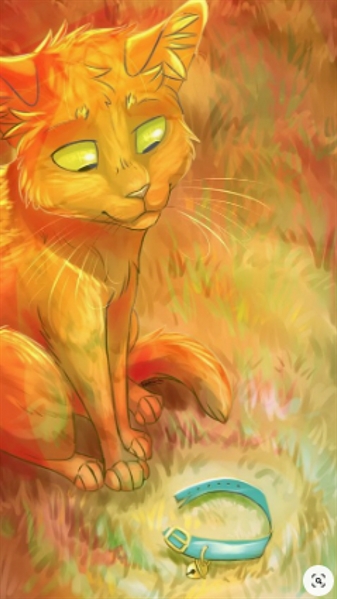 História Gatos Guerreiros livro 4- Tempestade- Erin Hunter - História  escrita por gabigatos13 - Spirit Fanfics e Histórias